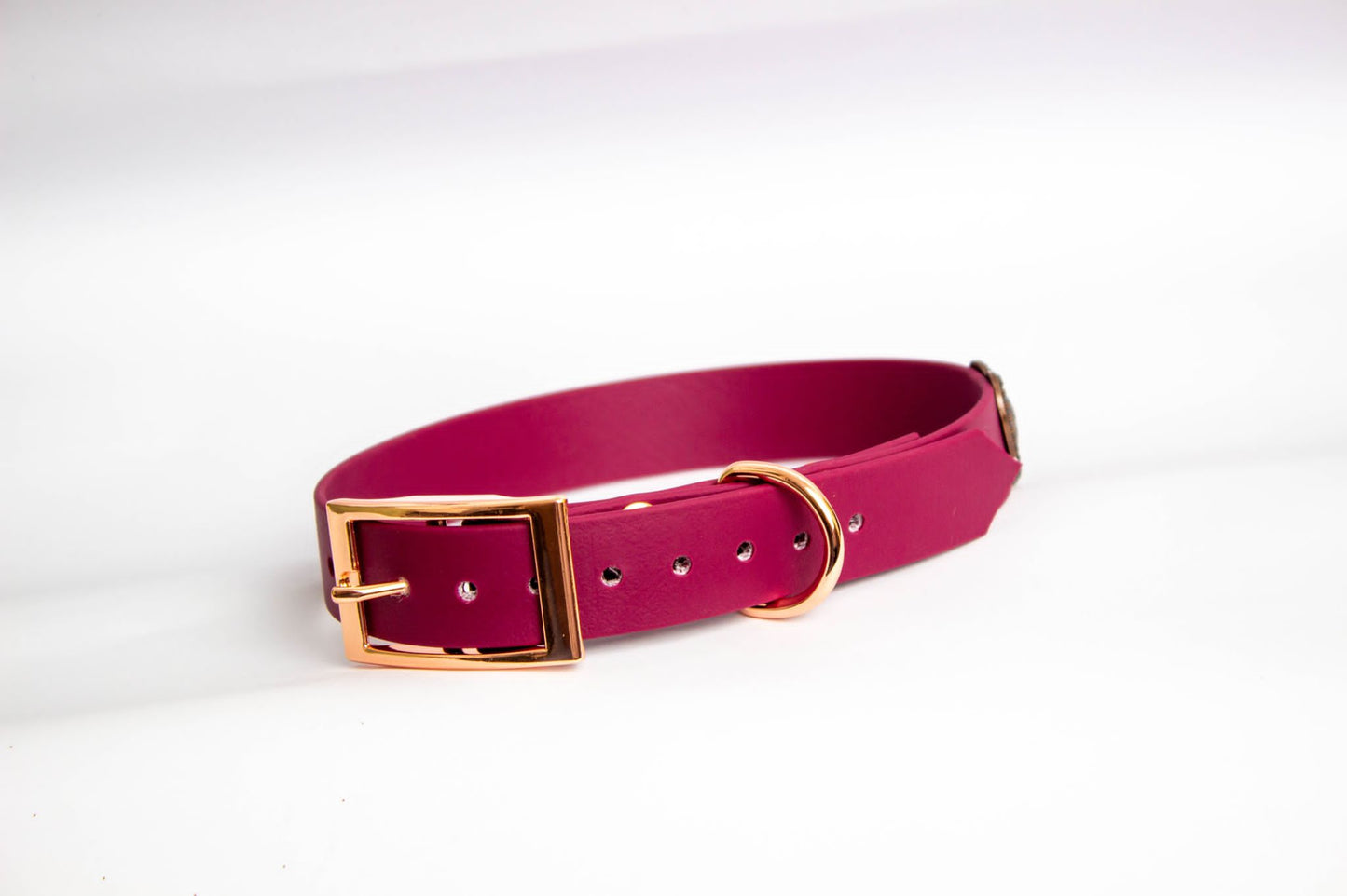 Hundeleine mit Halsband -  Bordeaux Rot mit roségoldenen Schnallen